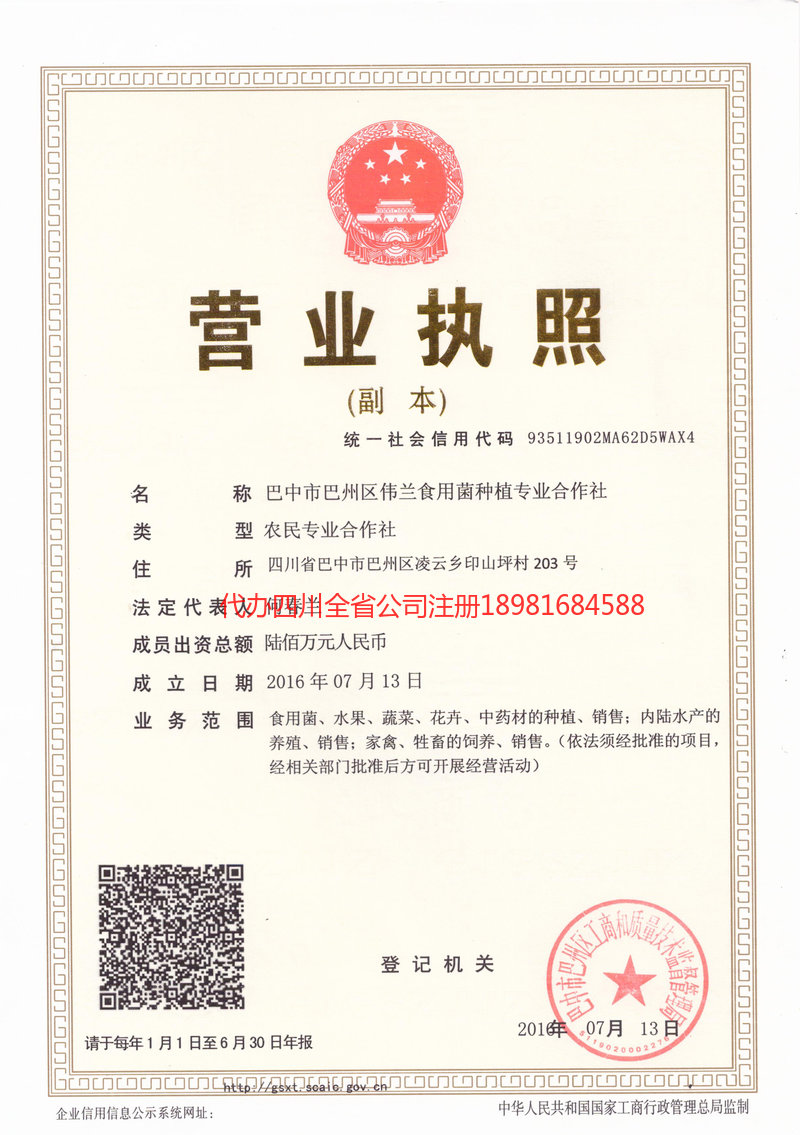 塔城市塔城市伟兰食用菌种植专业合作社